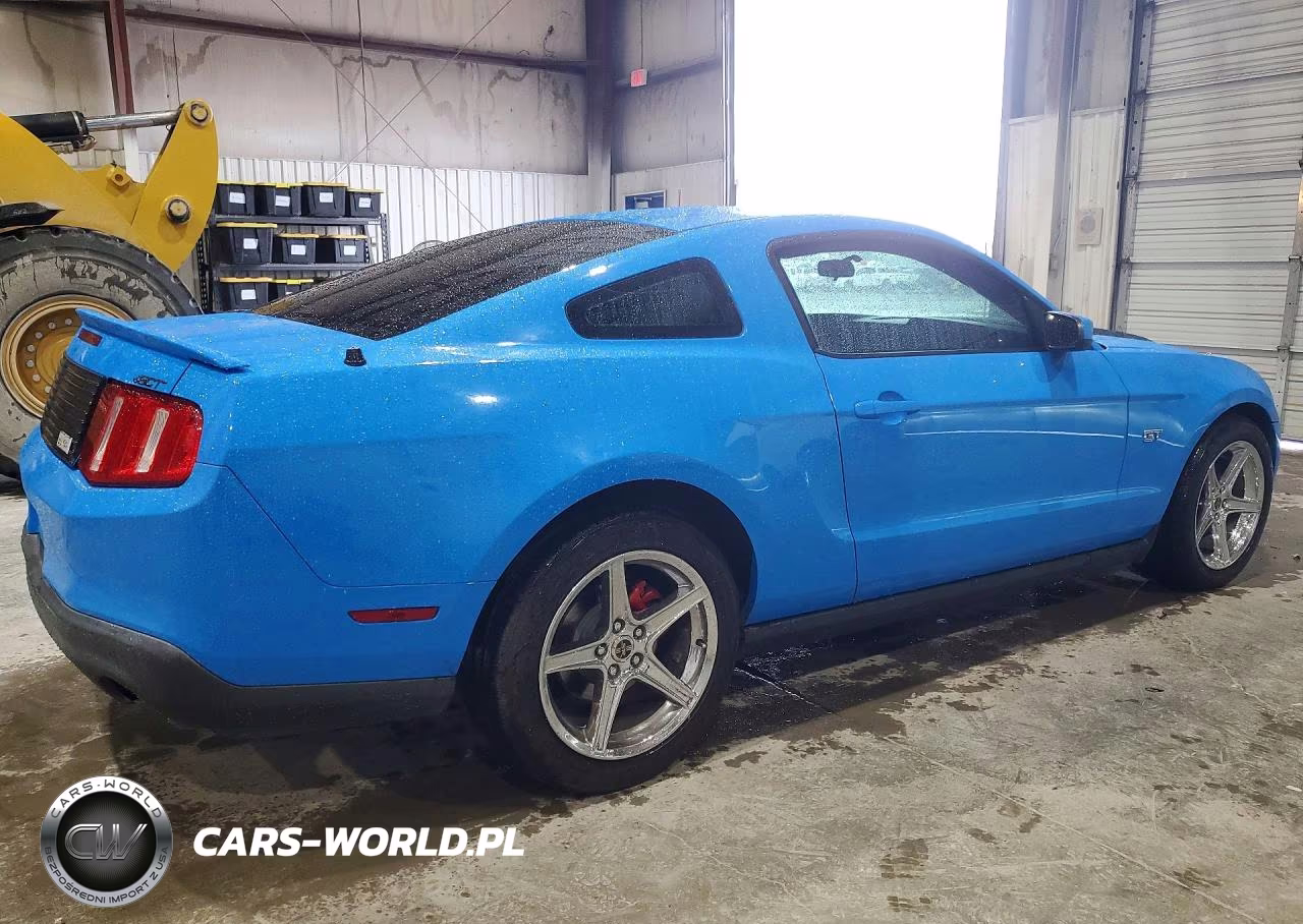 2010 Ford Mustang Gt VIN:1ZVBP8CHXA5154284 - 3