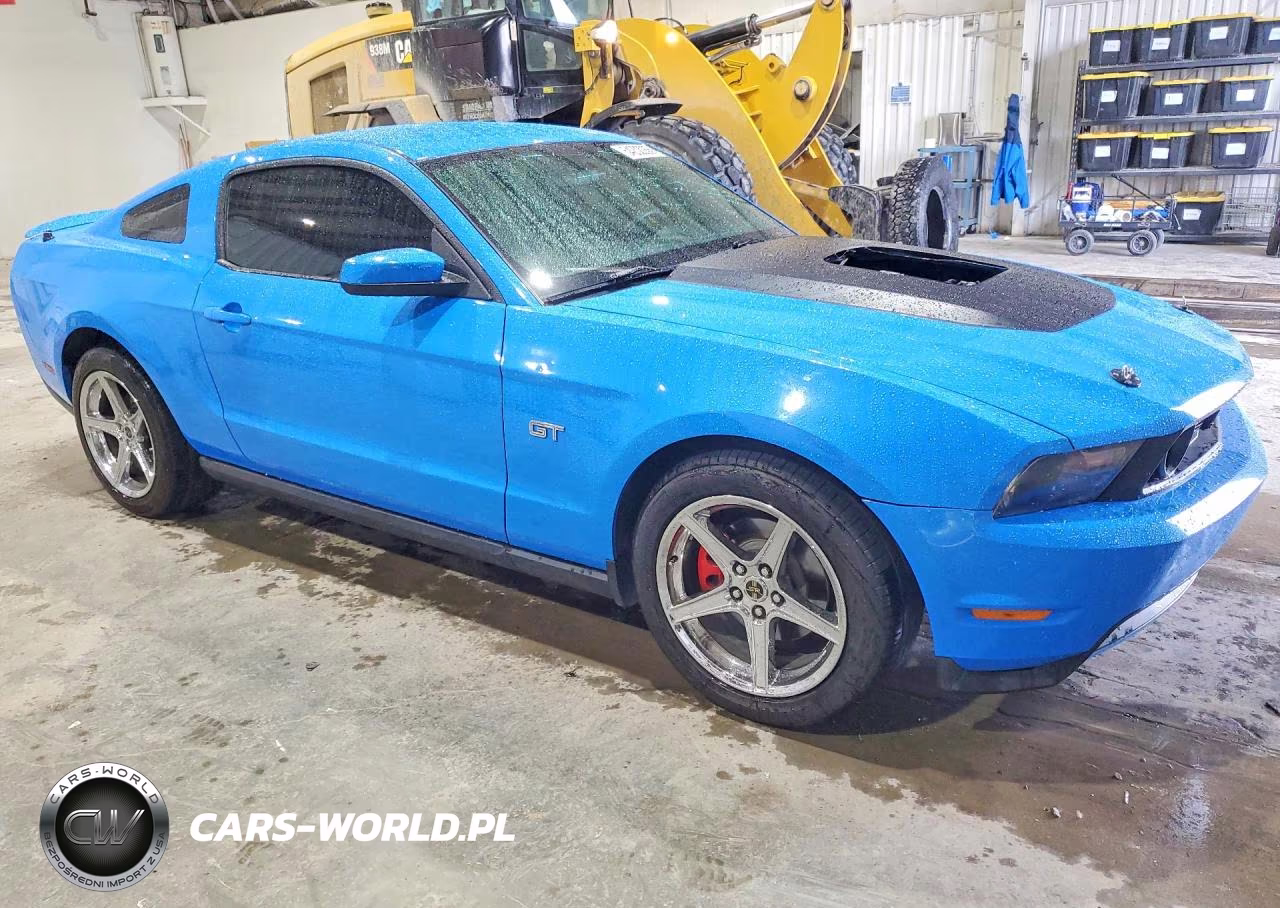 2010 Ford Mustang Gt VIN:1ZVBP8CHXA5154284 - 4