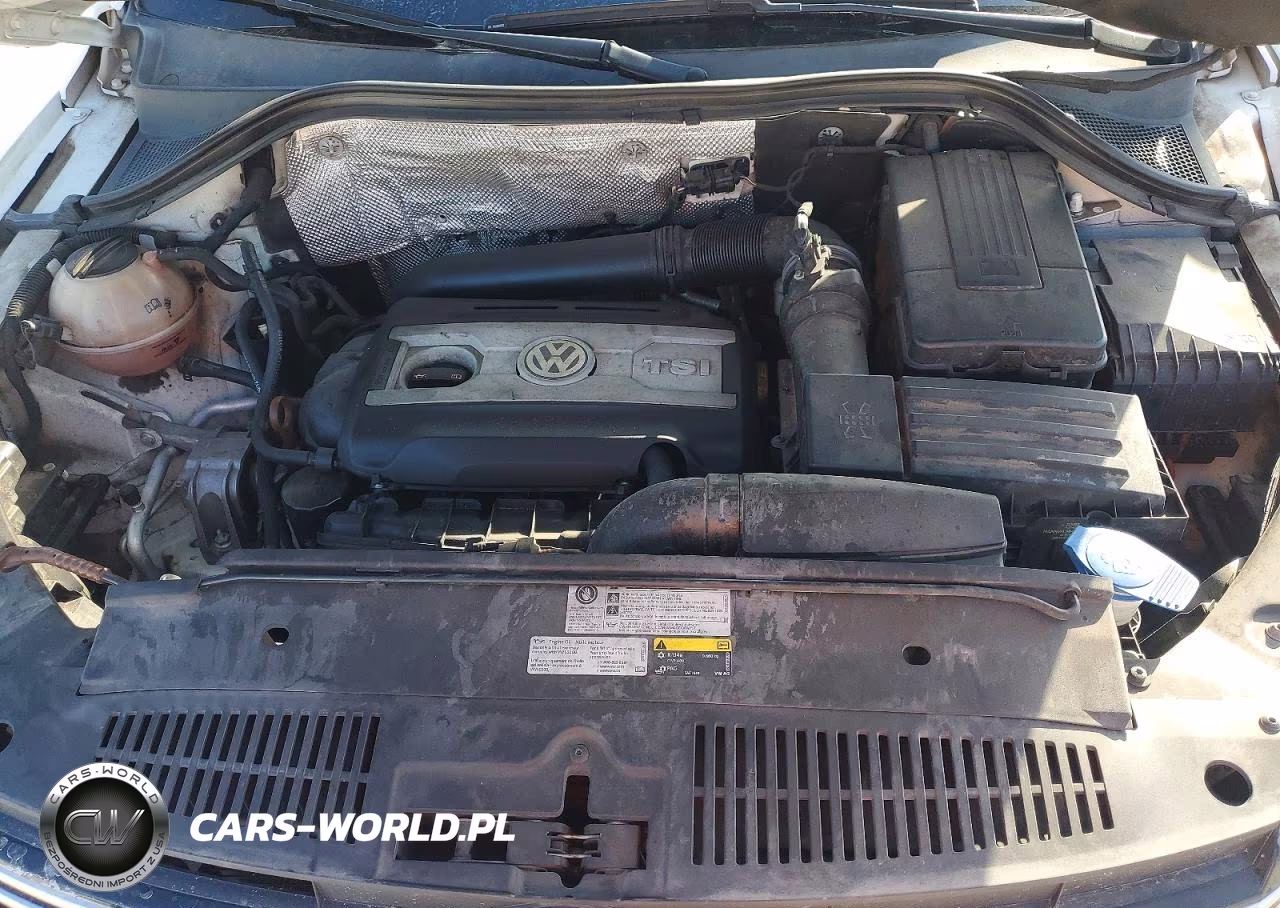 2013 Volkswagen Tiguan S VIN:WVGAV3AX9DW573447 - 11