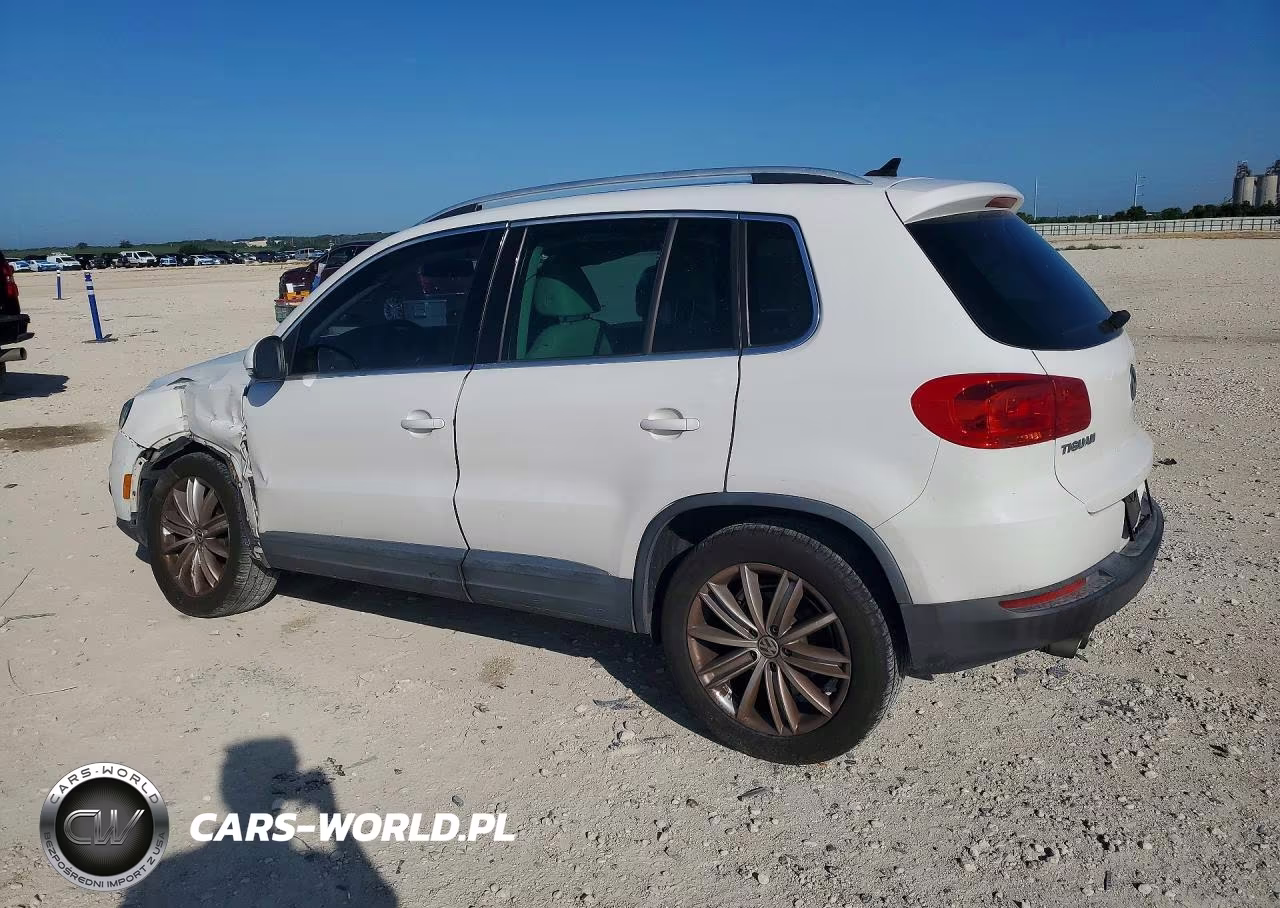 2013 Volkswagen Tiguan S VIN:WVGAV3AX9DW573447 - 2