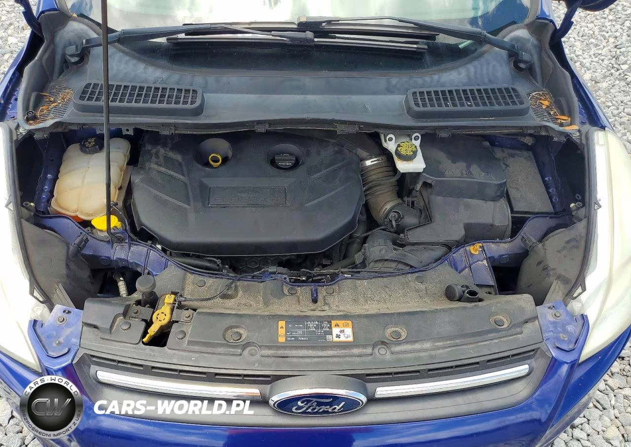 2016 Ford Escape Se VIN:1FMCU9G94GUA01869 - 11