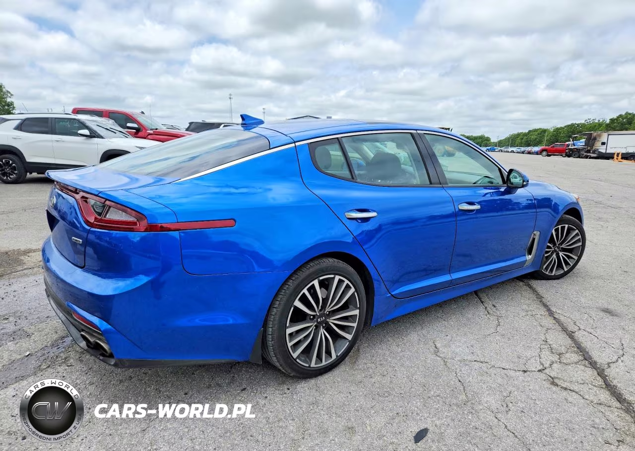 2018 Kia Stinger Premium VIN:KNAE25LA3J6033085 - 3