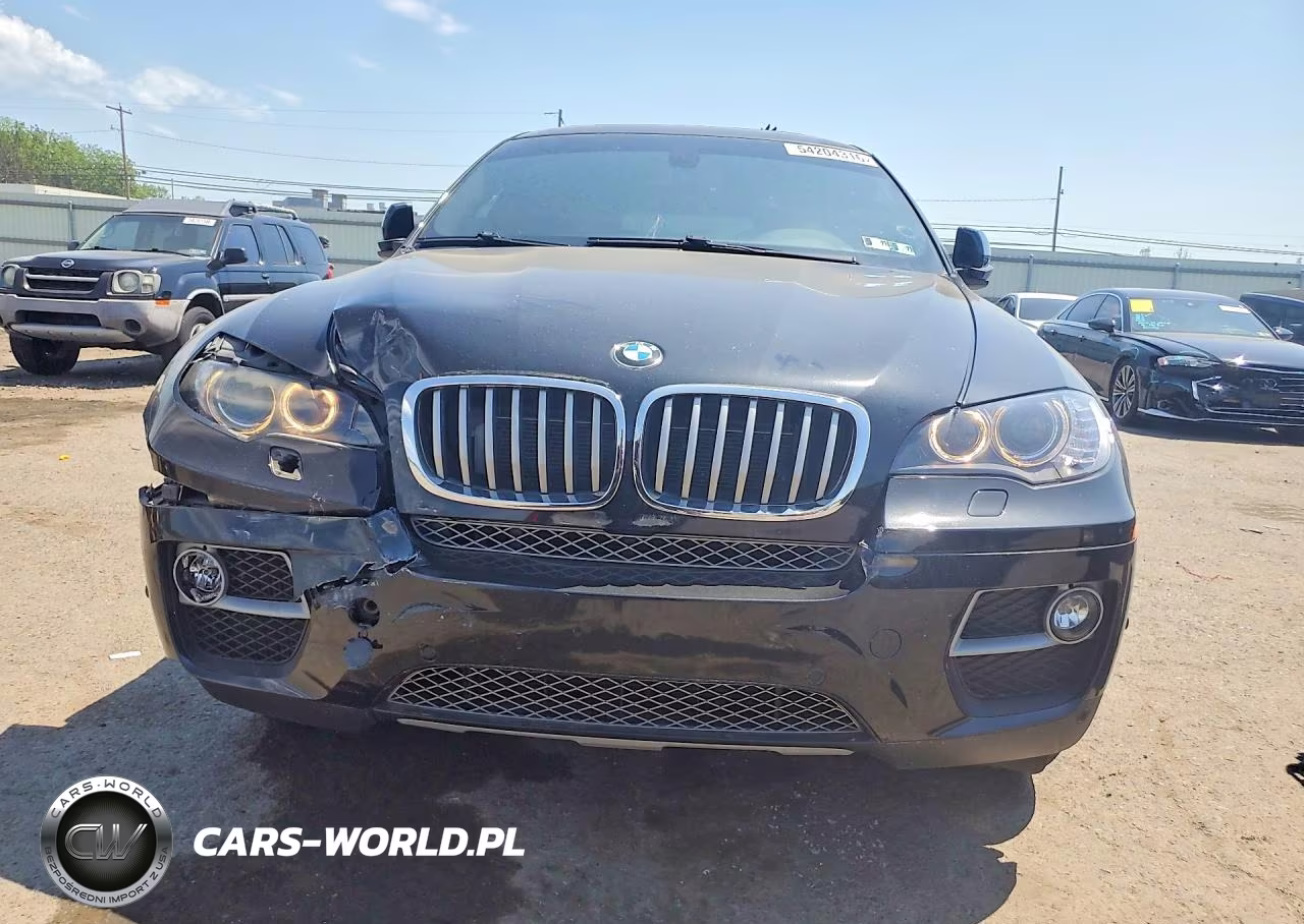 2014 BMW X6 xDrive50I VIN:5UXFG8C53EL593143 - 5