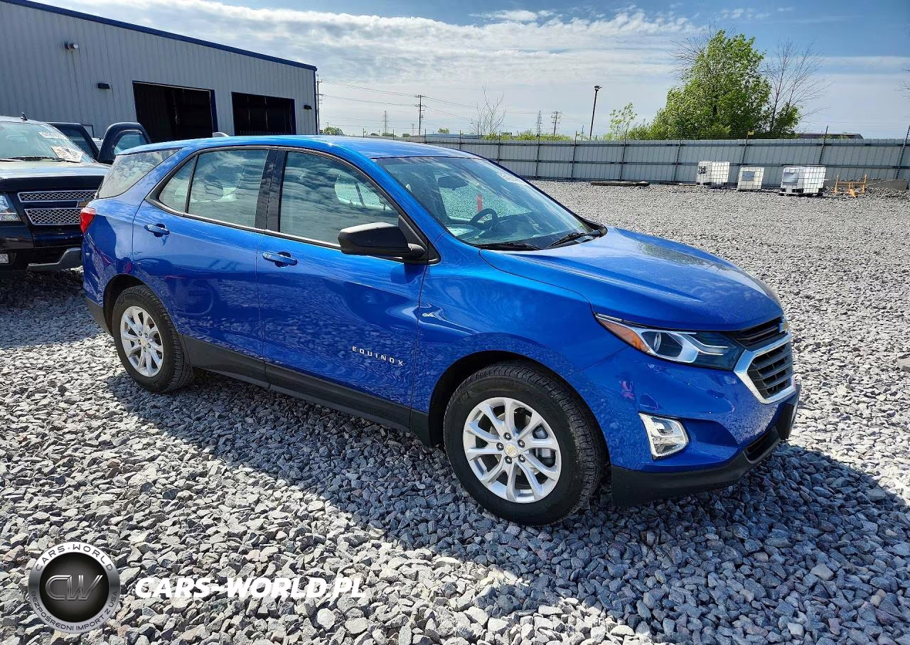 2019 Chevrolet Equinox Ls VIN:3GNAXHEV3KS527309 - 4
