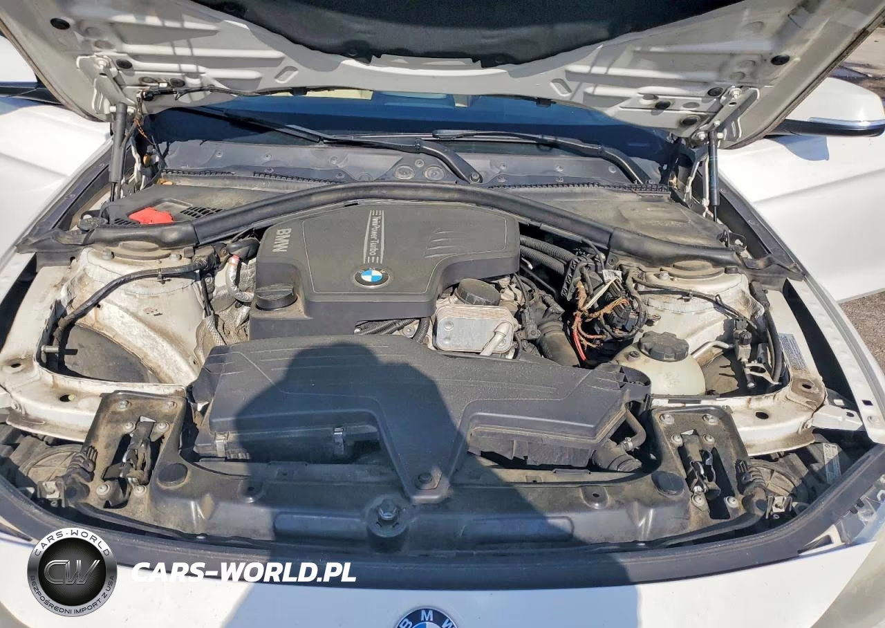 2013 BMW 320 I VIN:WBA3B1C54DK128690 - 11