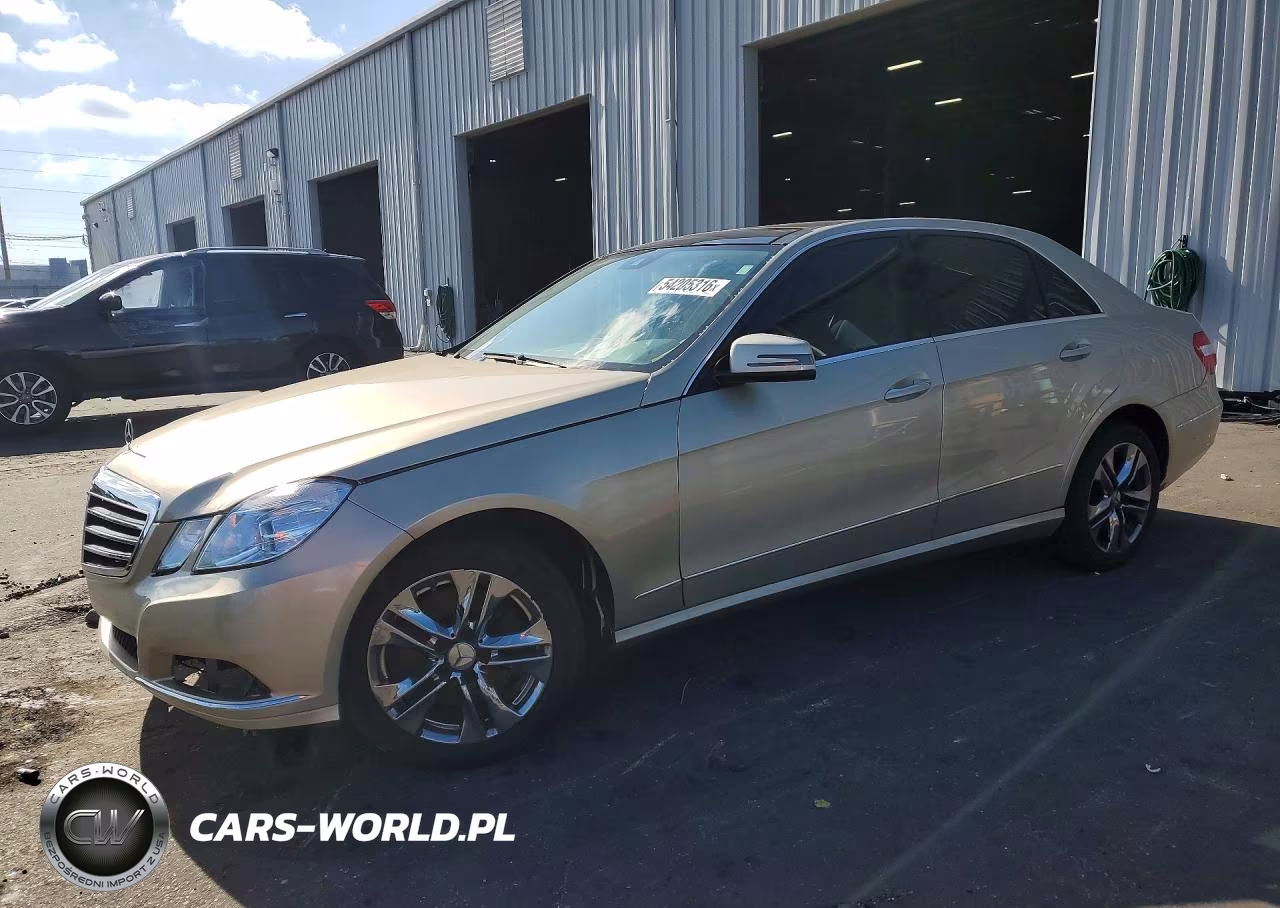 2010 MERCEDES-BENZ E 350
