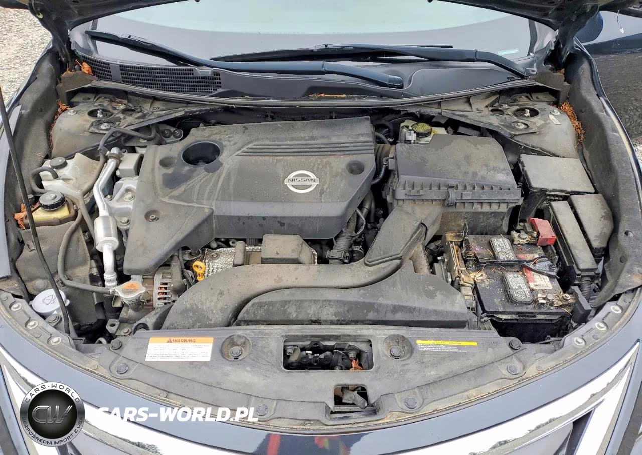 2014 Nissan Altima VIN:1N4AL3AP7EN239909 - 11