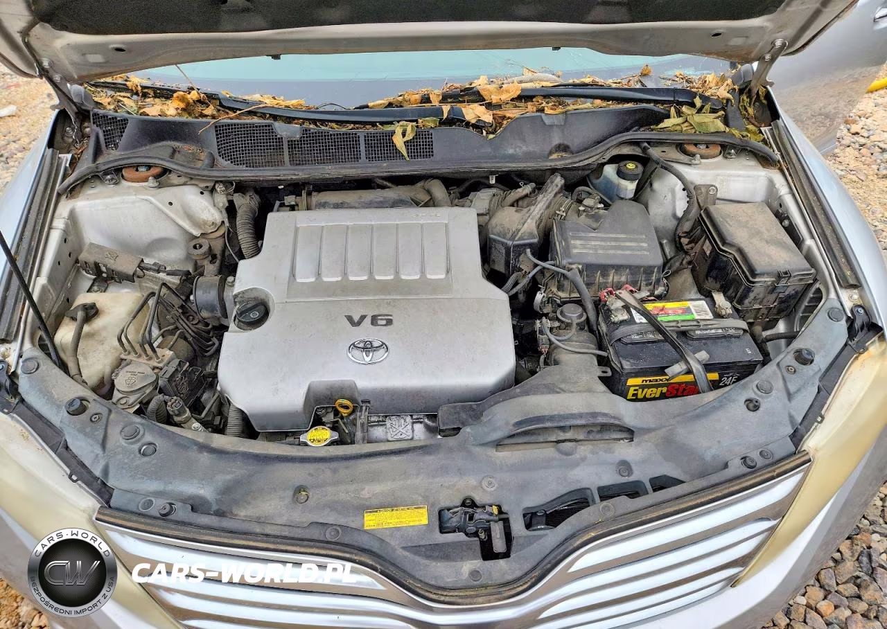 2010 Toyota Venza Fwd V6 VIN:4T3ZK3BBXAU029715 - 11