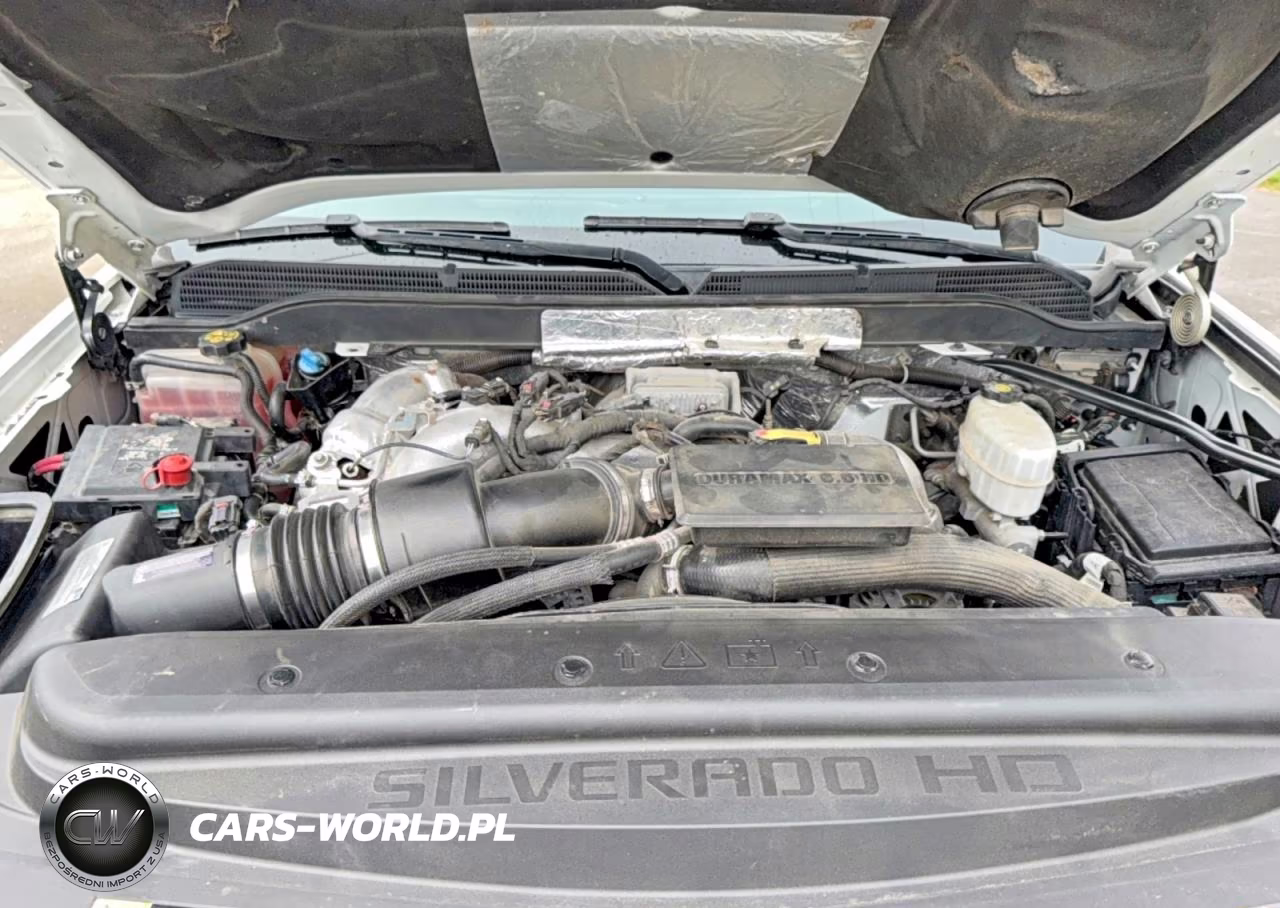 2019 Chevrolet Silverado K2500 Heavy Duty Lt VIN:1GC1KSEY6KF227492 - 7