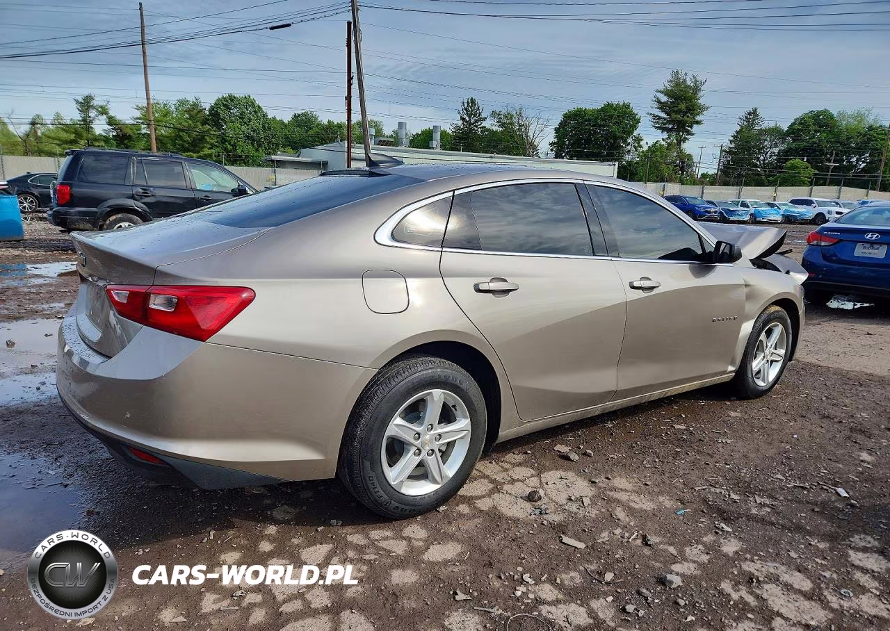 2023 Chevrolet Malibu Eco VIN:1G1ZB5STXPF253591 - 3