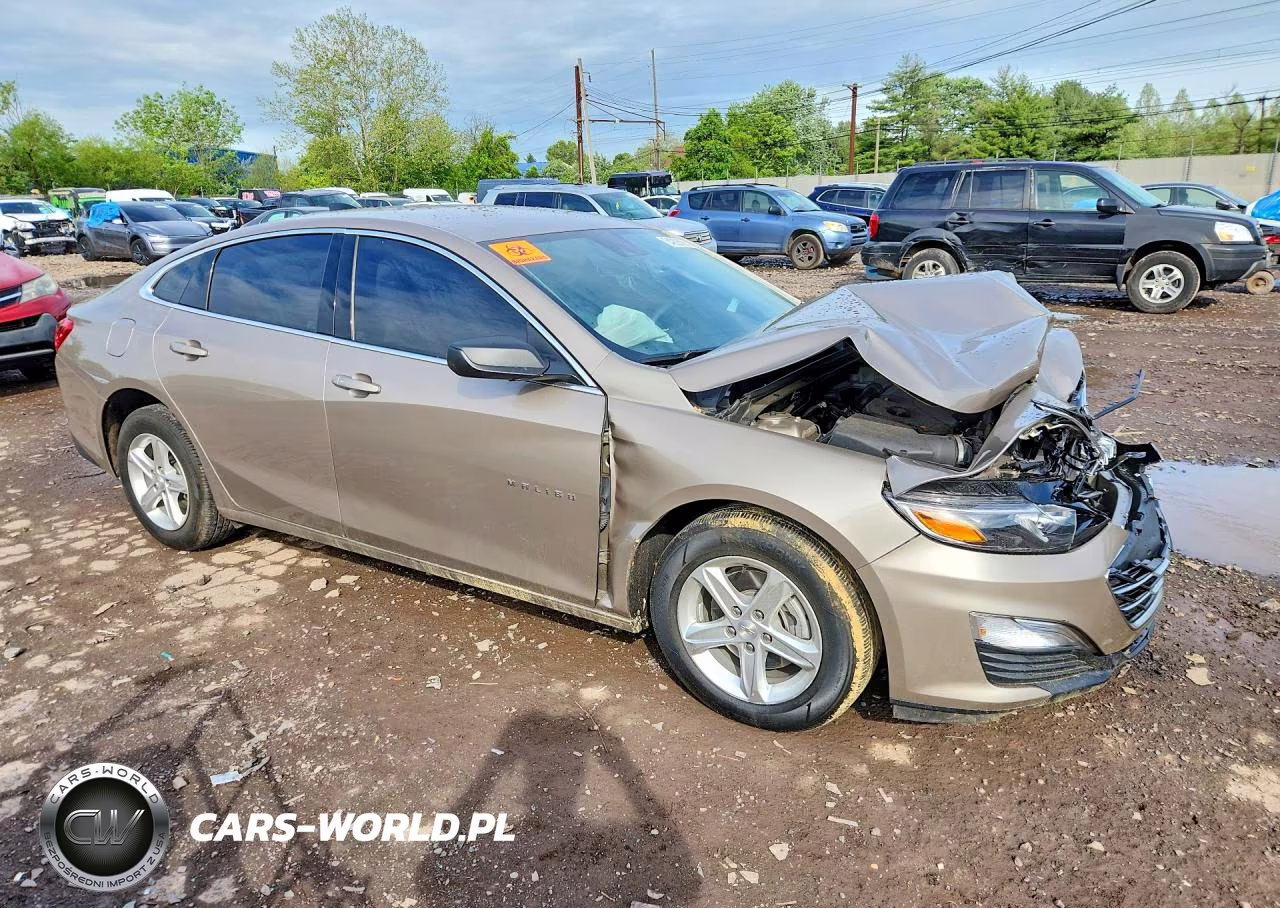 2023 Chevrolet Malibu Eco VIN:1G1ZB5STXPF253591 - 4