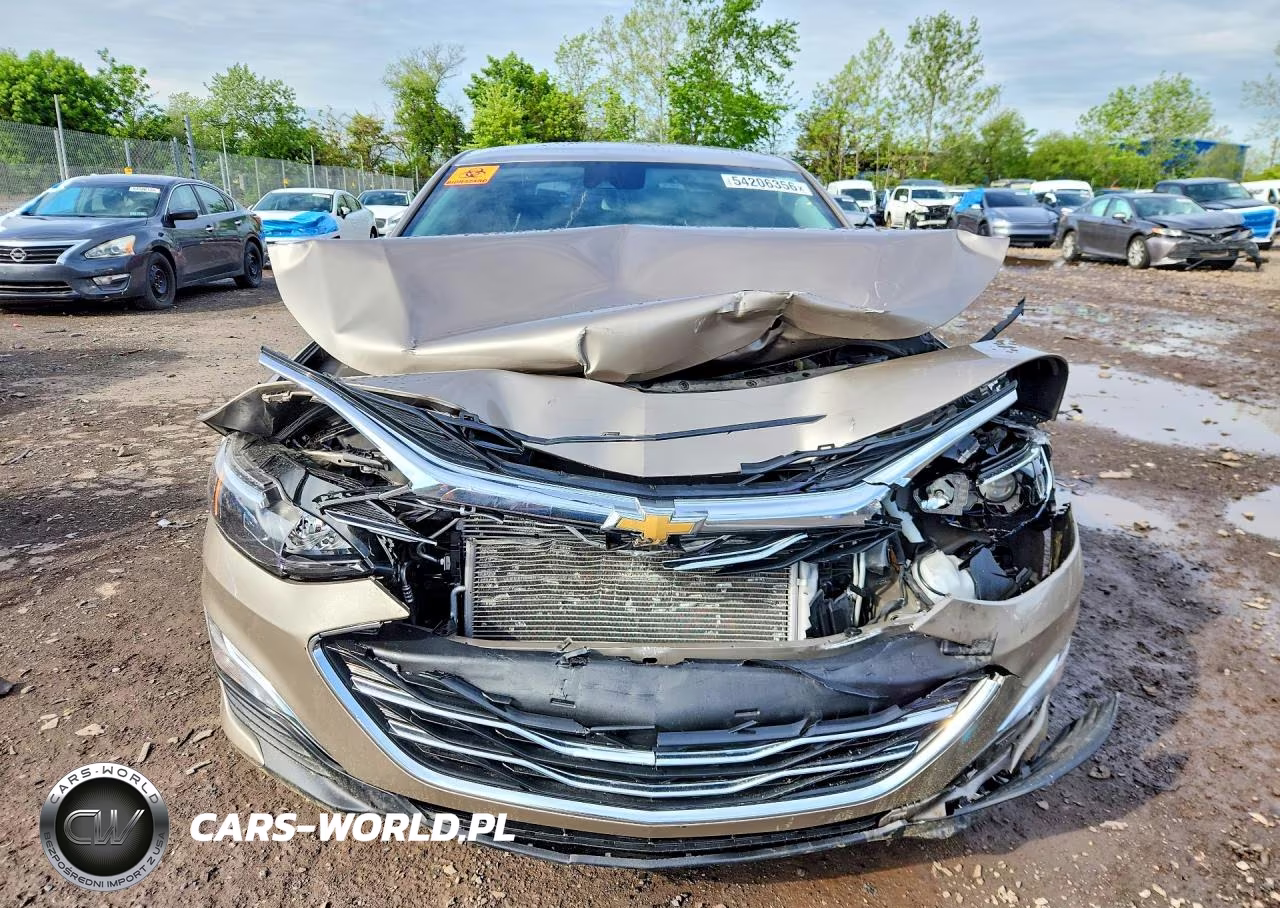 2023 Chevrolet Malibu Eco VIN:1G1ZB5STXPF253591 - 5