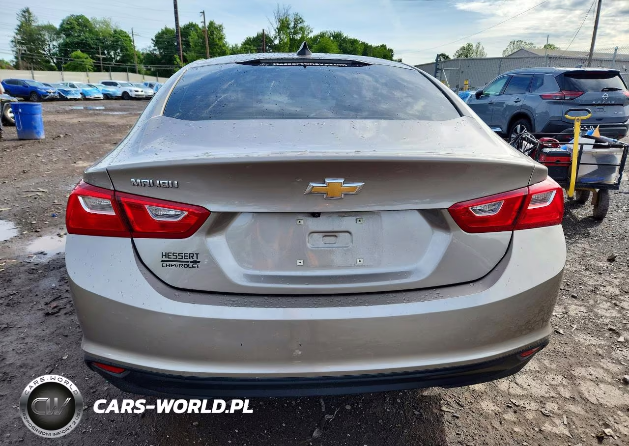 2023 Chevrolet Malibu Eco VIN:1G1ZB5STXPF253591 - 6