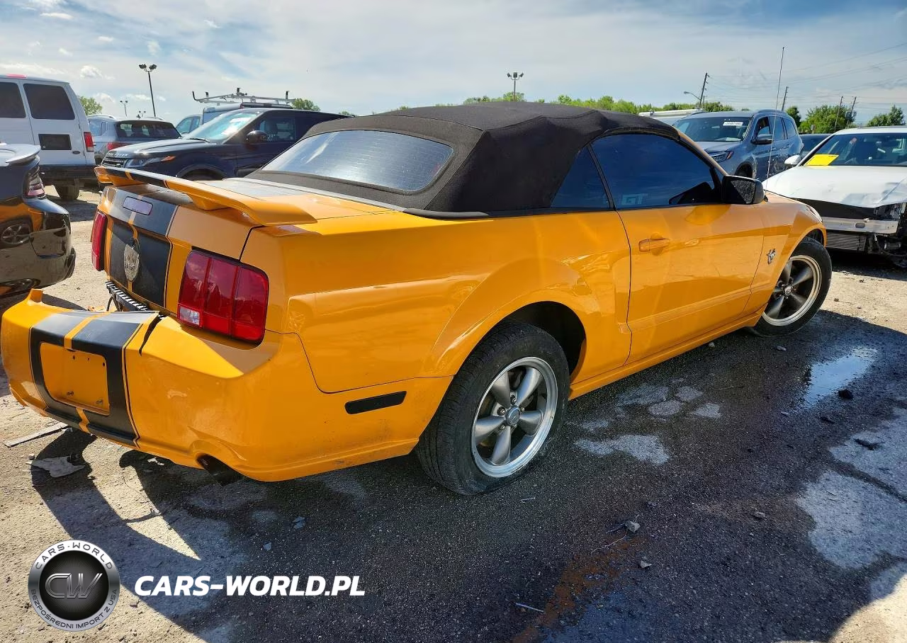 2009 Ford Mustang Gt VIN:1ZVHT85H895142164 - 3