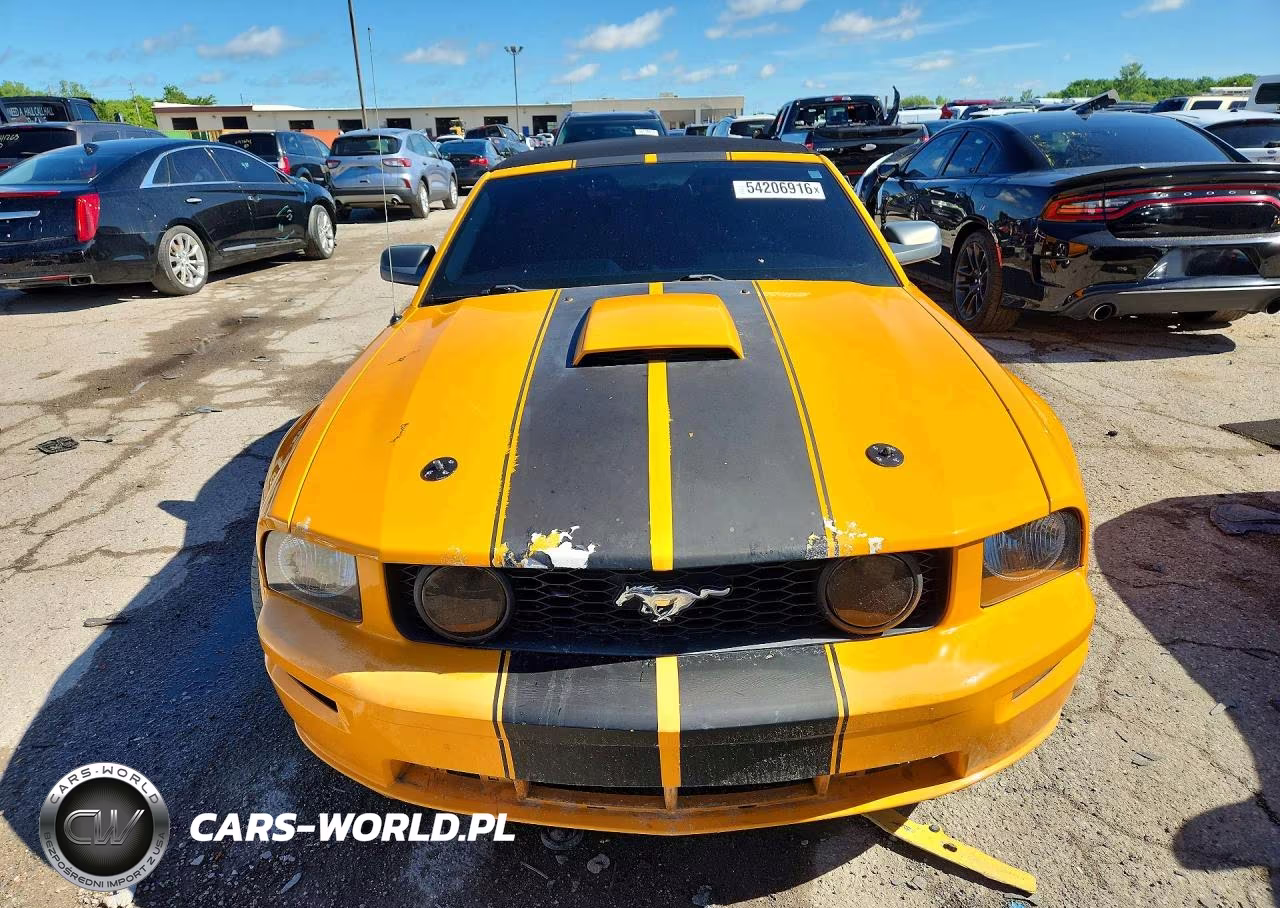 2009 Ford Mustang Gt VIN:1ZVHT85H895142164 - 5