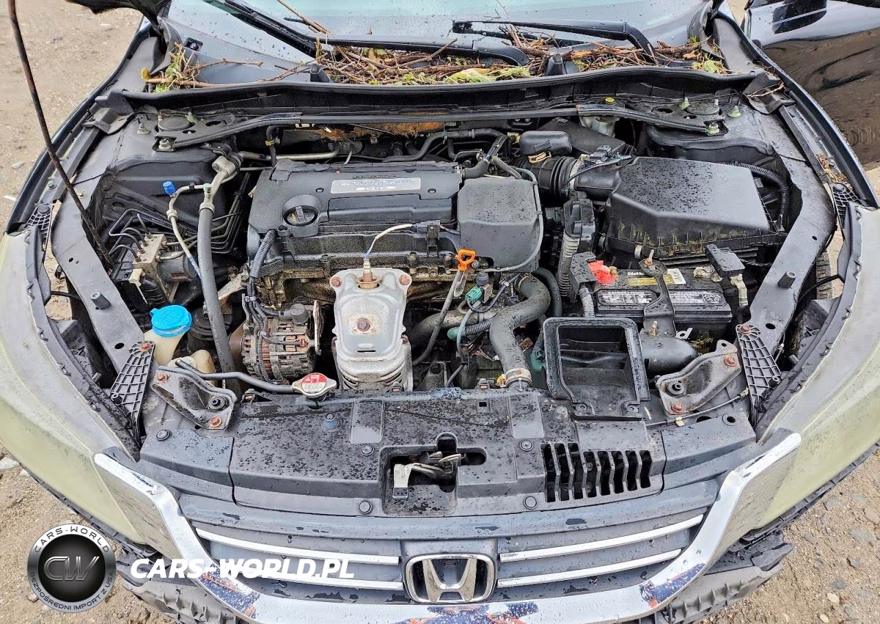 2014 Honda Accord Ex VIN:1HGCR2F7XEA280466 - 11