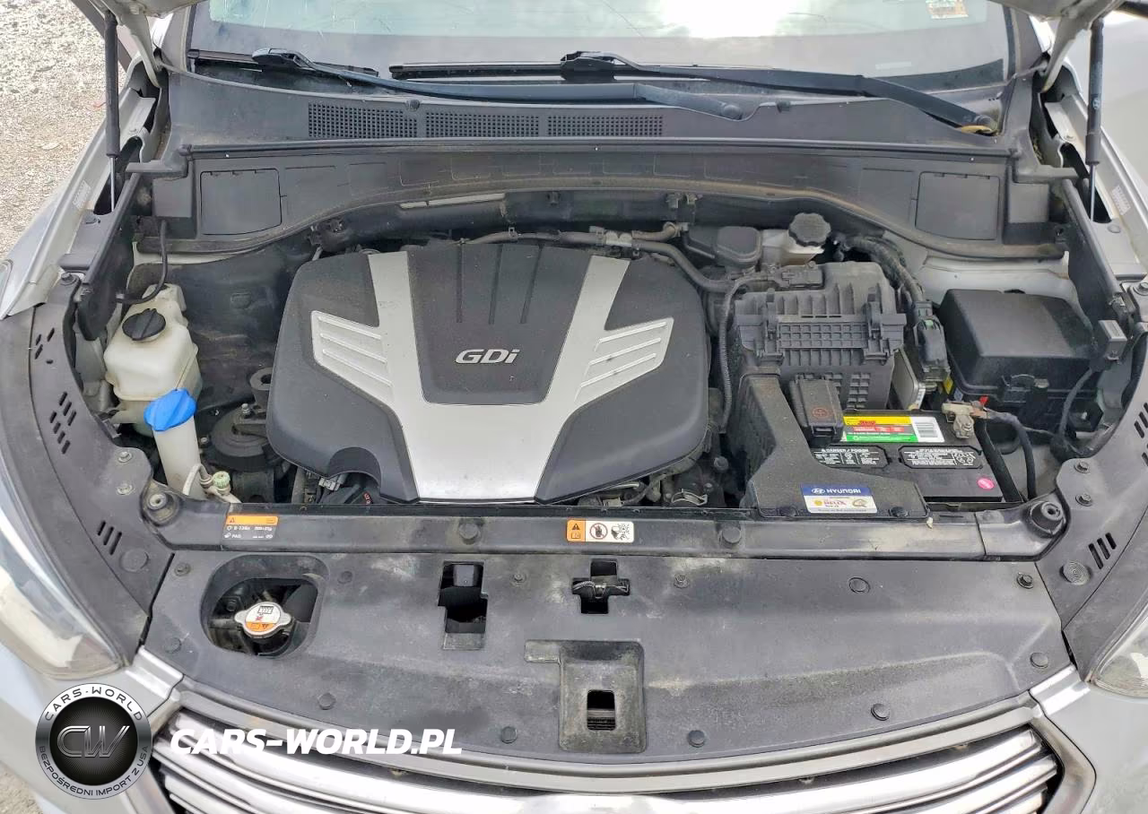 2017 Hyundai Santa Fe Limited Ultimate VIN:KM8SR4HF5HU196774 - 12
