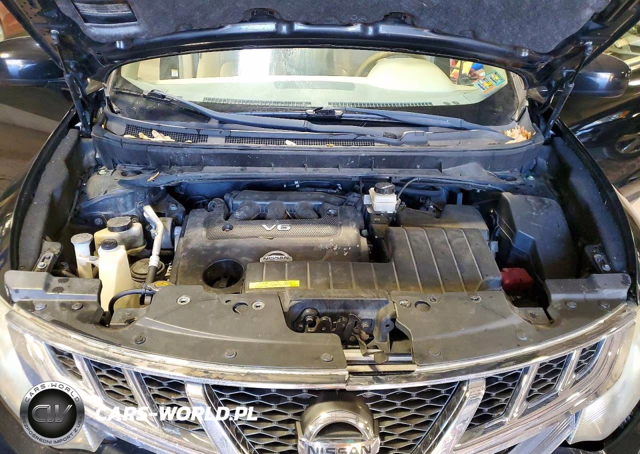 2014 Nissan Murano Crosscabriolet VIN:JN8AZ1FY0EW302734 - 12