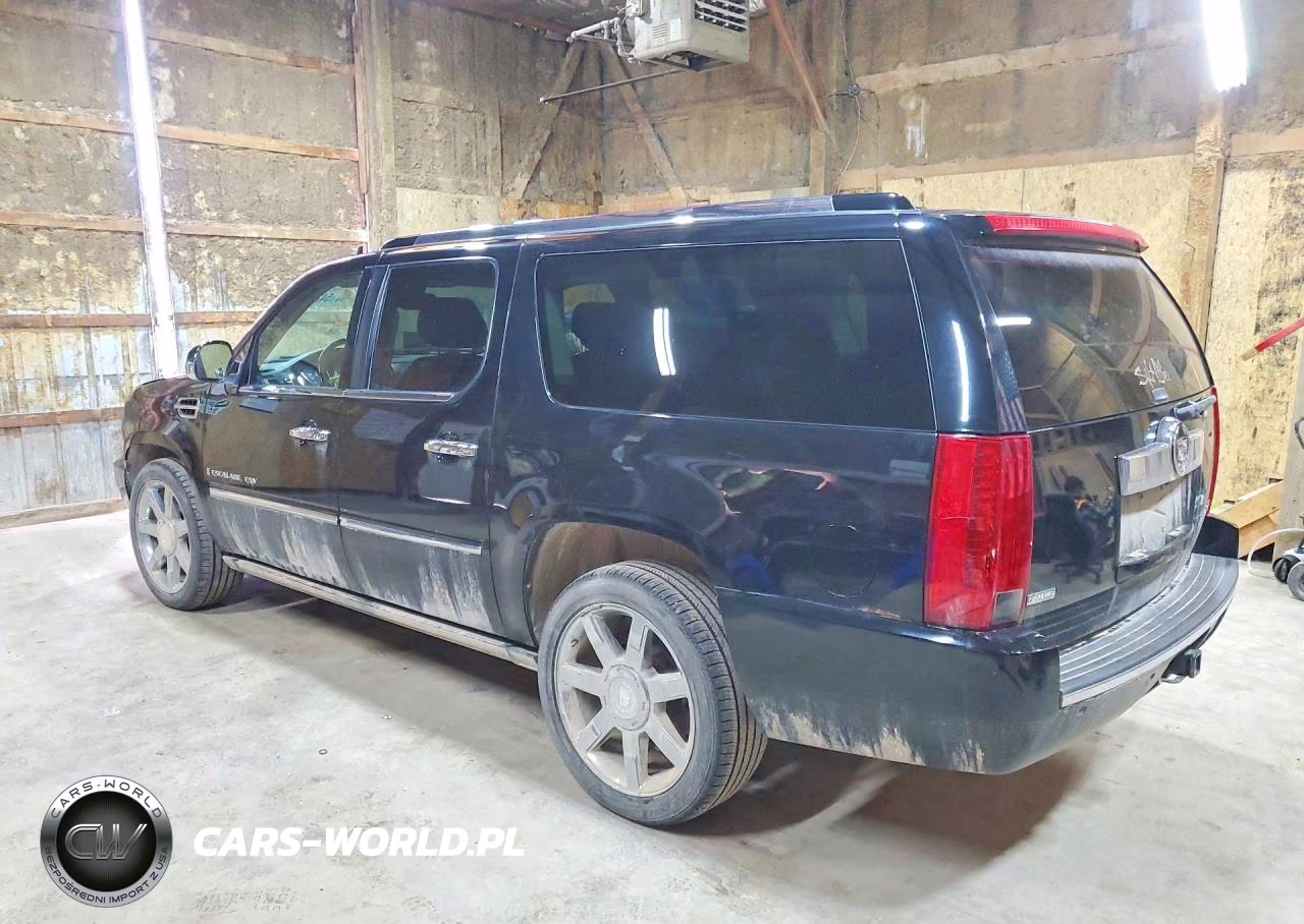 2009 Cadillac Escalade Esv Luxury VIN:1GYFK26229R200549 - 2