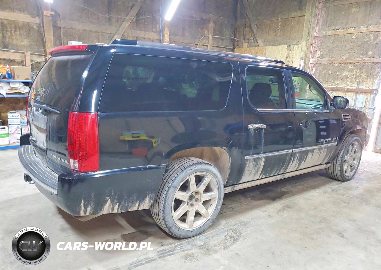 2009 Cadillac Escalade Esv Luxury VIN:1GYFK26229R200549 - 3