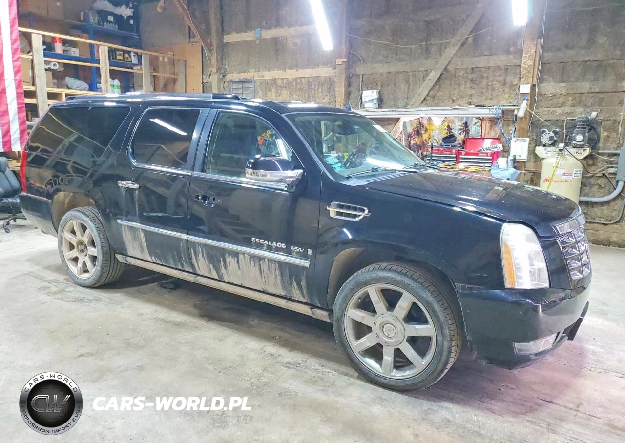 2009 Cadillac Escalade Esv Luxury VIN:1GYFK26229R200549 - 4