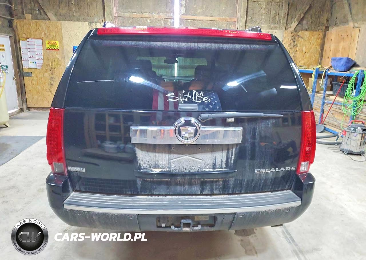 2009 Cadillac Escalade Esv Luxury VIN:1GYFK26229R200549 - 6