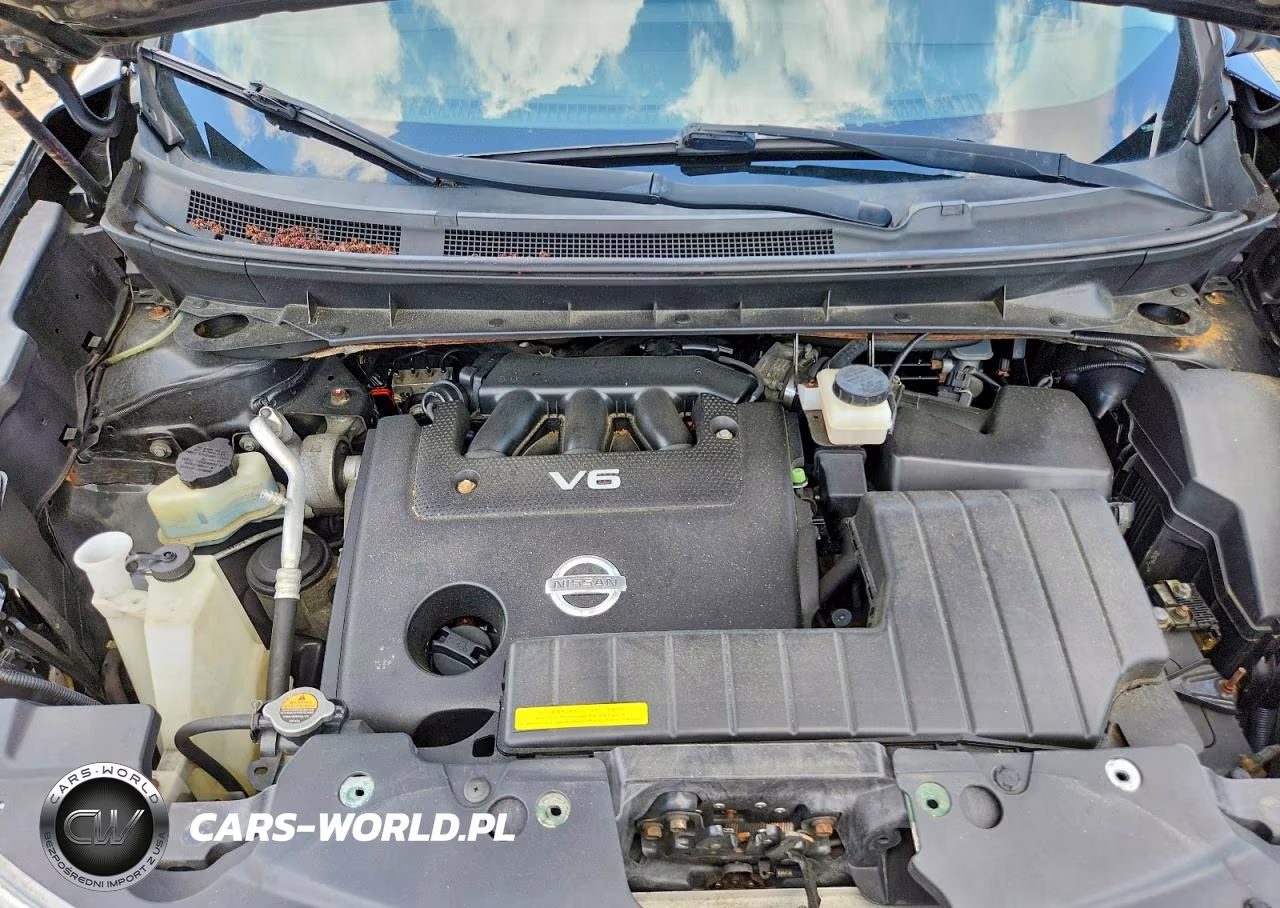 2010 Nissan Murano S VIN:JN8AZ1MW1AW130709 - 12