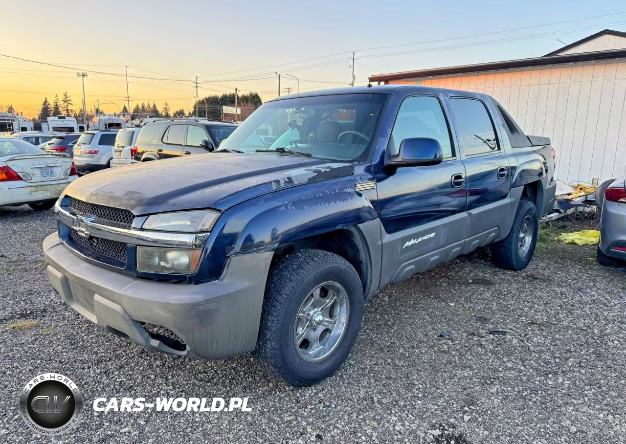 2002 Chevrolet Avalanche K1500 VIN:3GNEK13T32G137306 - 2