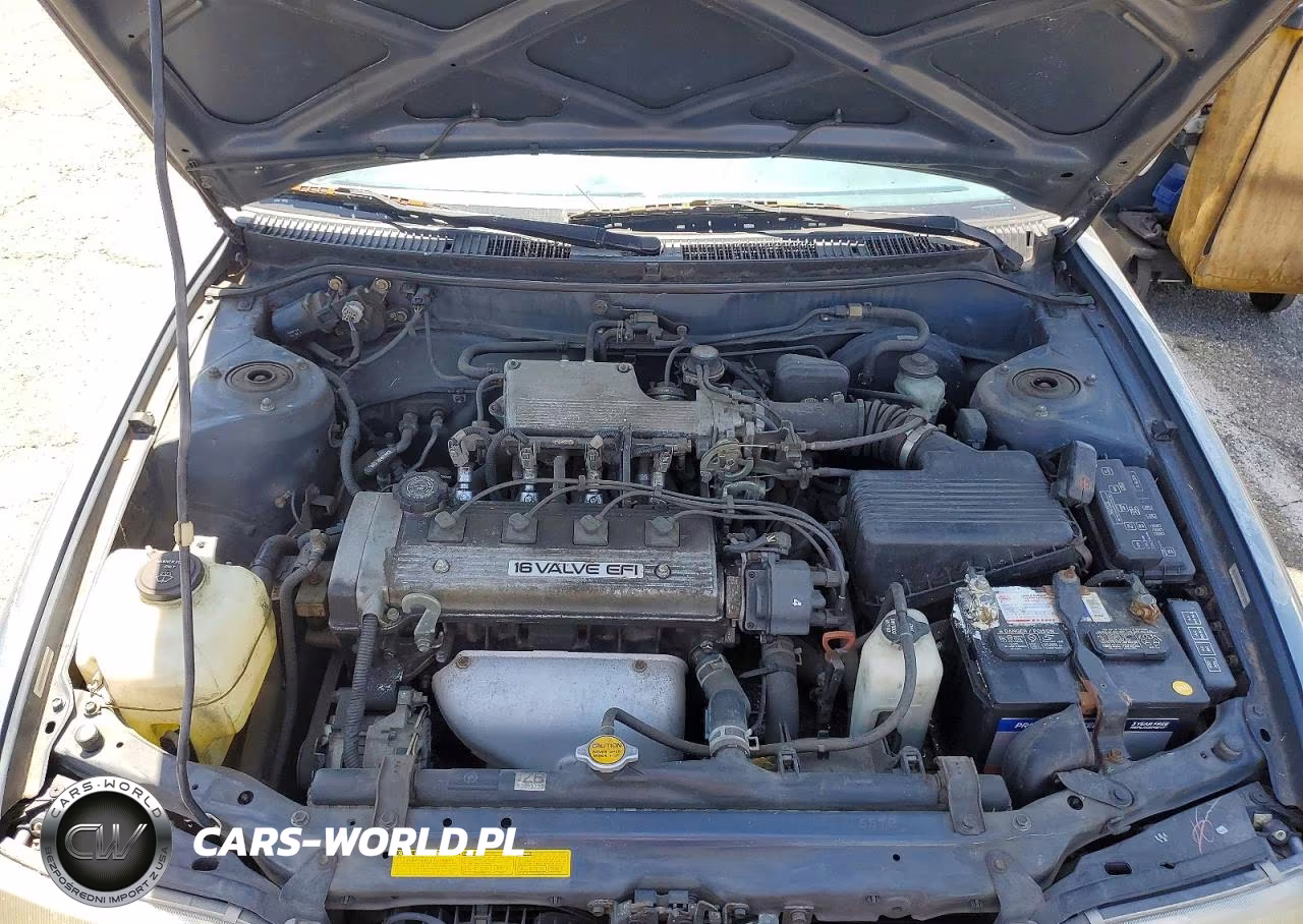 1993 Toyota Corolla Dx VIN:1NXAE09E3PZ092790 - 11