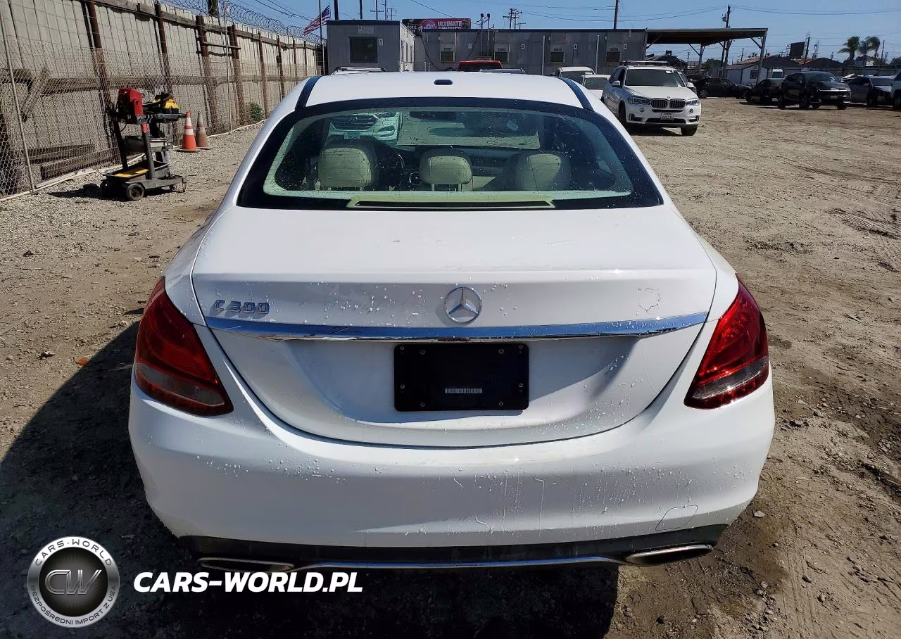 2016 Mercedes-Benz C 300 VIN:55SWF4JB2GU130808 - 6
