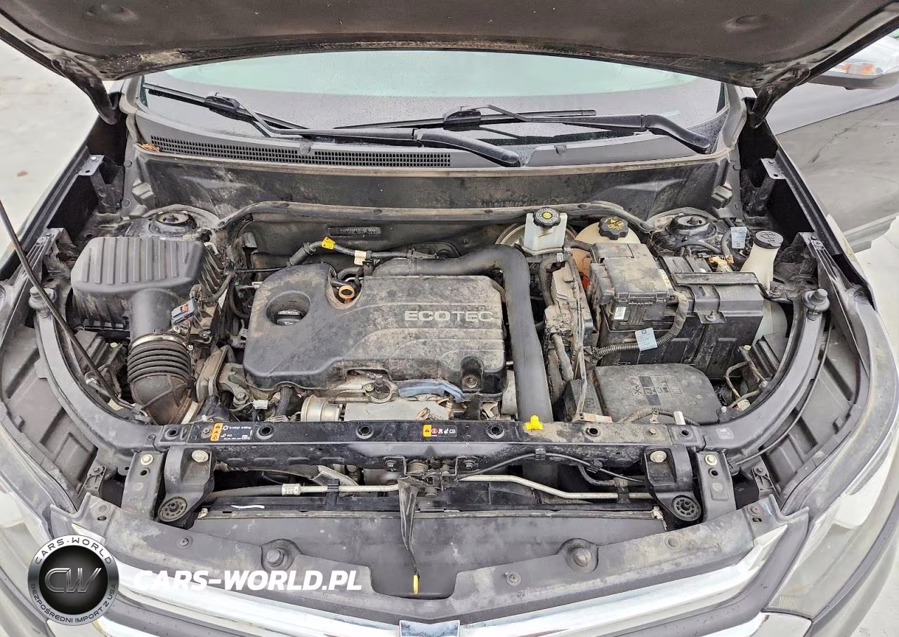 2019 Chevrolet Equinox Premier VIN:3GNAXXEV3KL311304 - 11