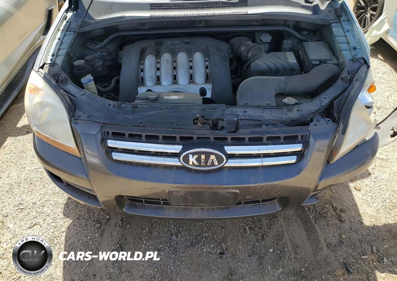 2006 Kia Sportage Lx VIN:KNDJF723067261096 - 12