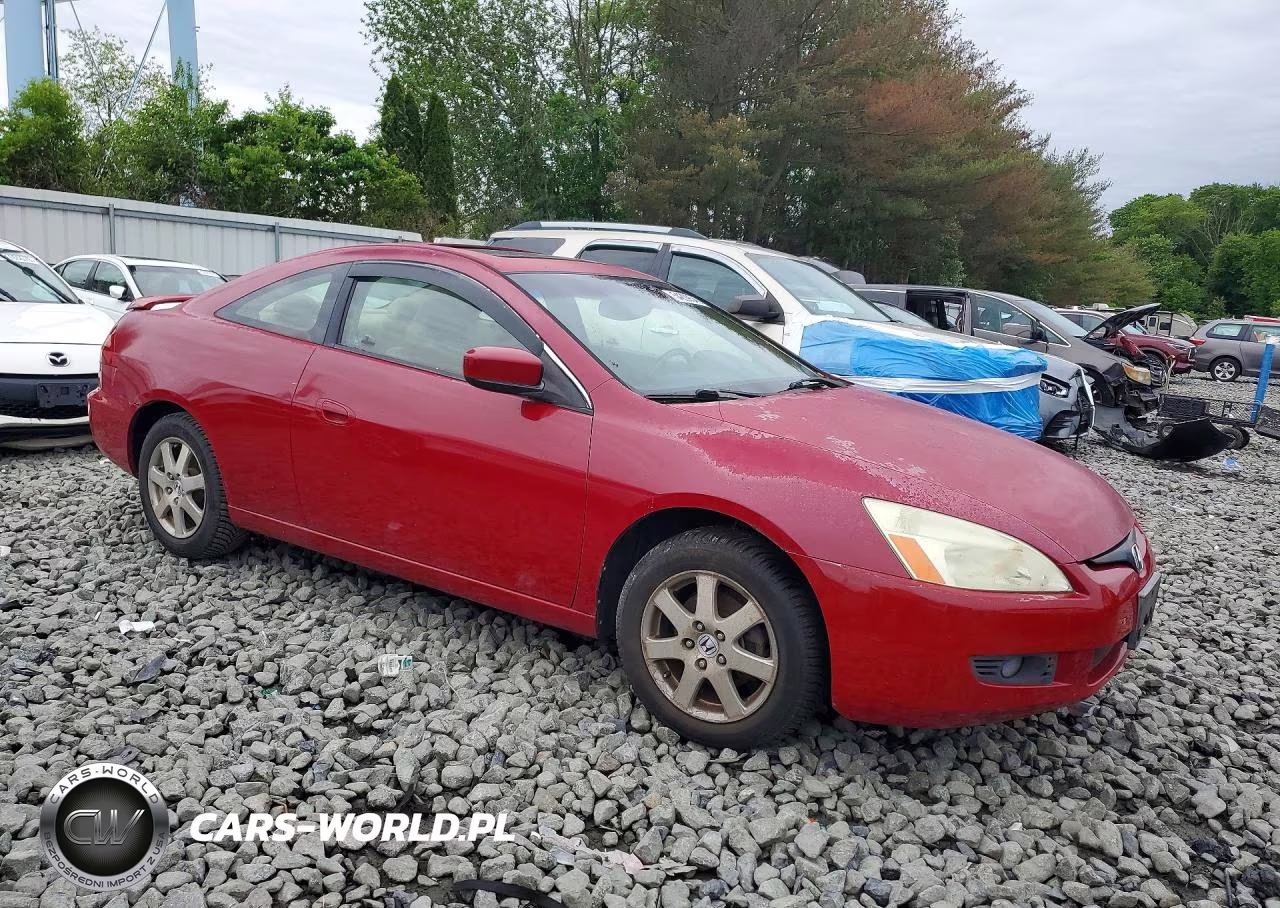 2005 Honda Accord VIN:1HGCM82605A013593 - 4