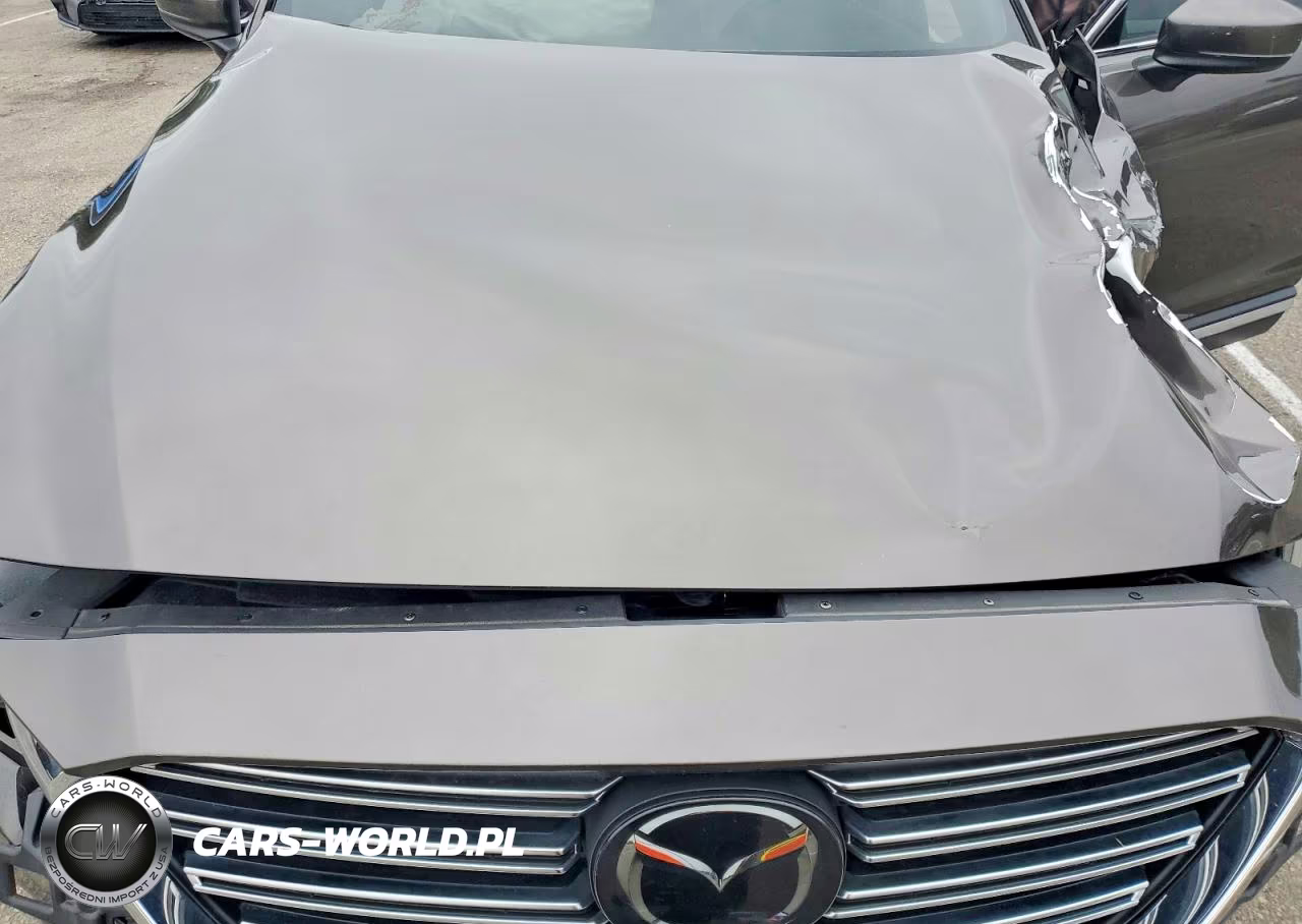2018 Mazda Cx-9 Grand Touring VIN:JM3TCBDY8J0221936 - 12