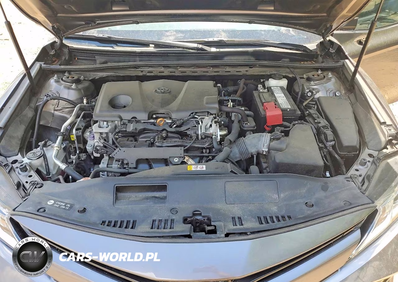 2019 Toyota Camry Le VIN:4T1B11HK8KU850032 - 11