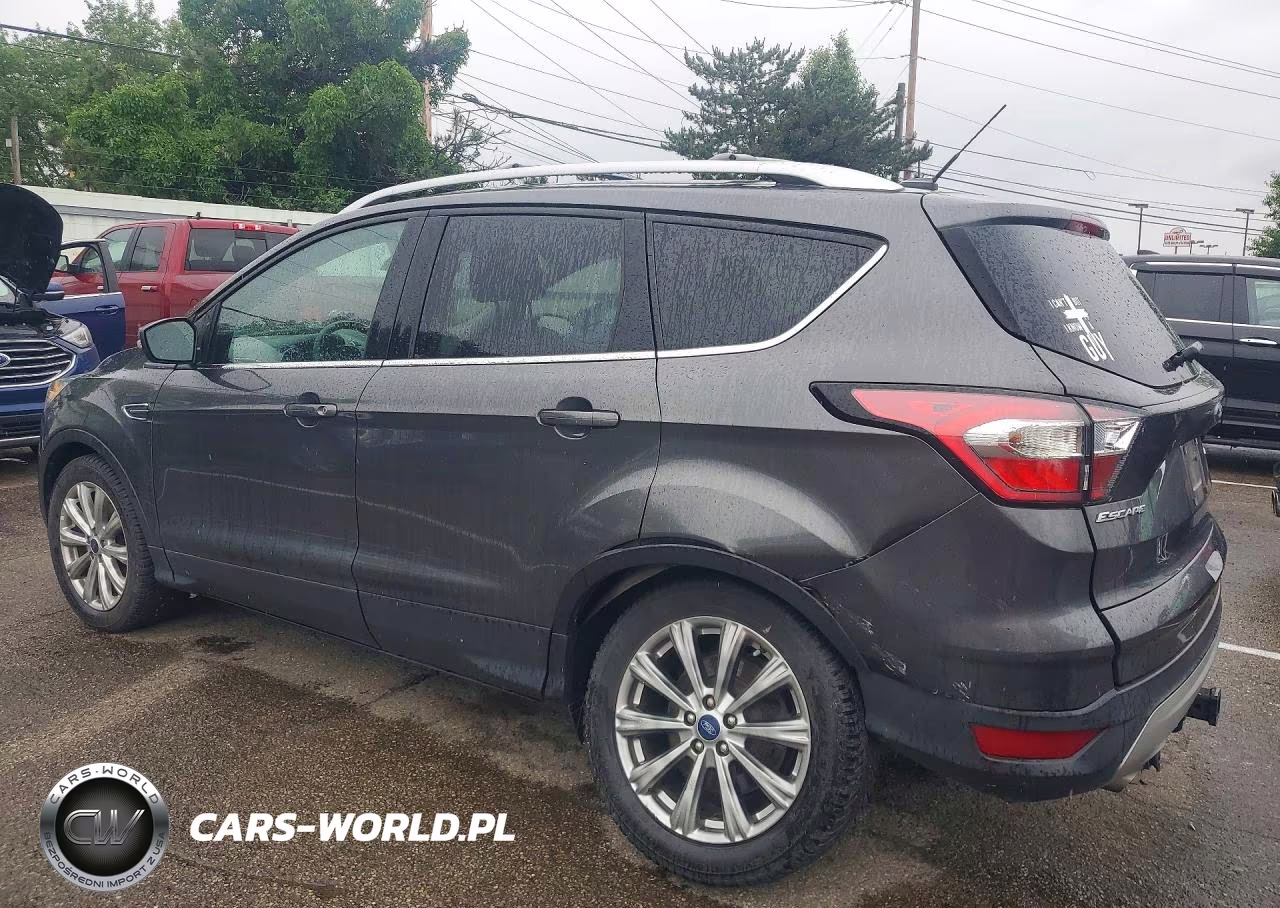 2017 Ford Escape Titanium VIN:1FMCU0J94HUF10317 - 2