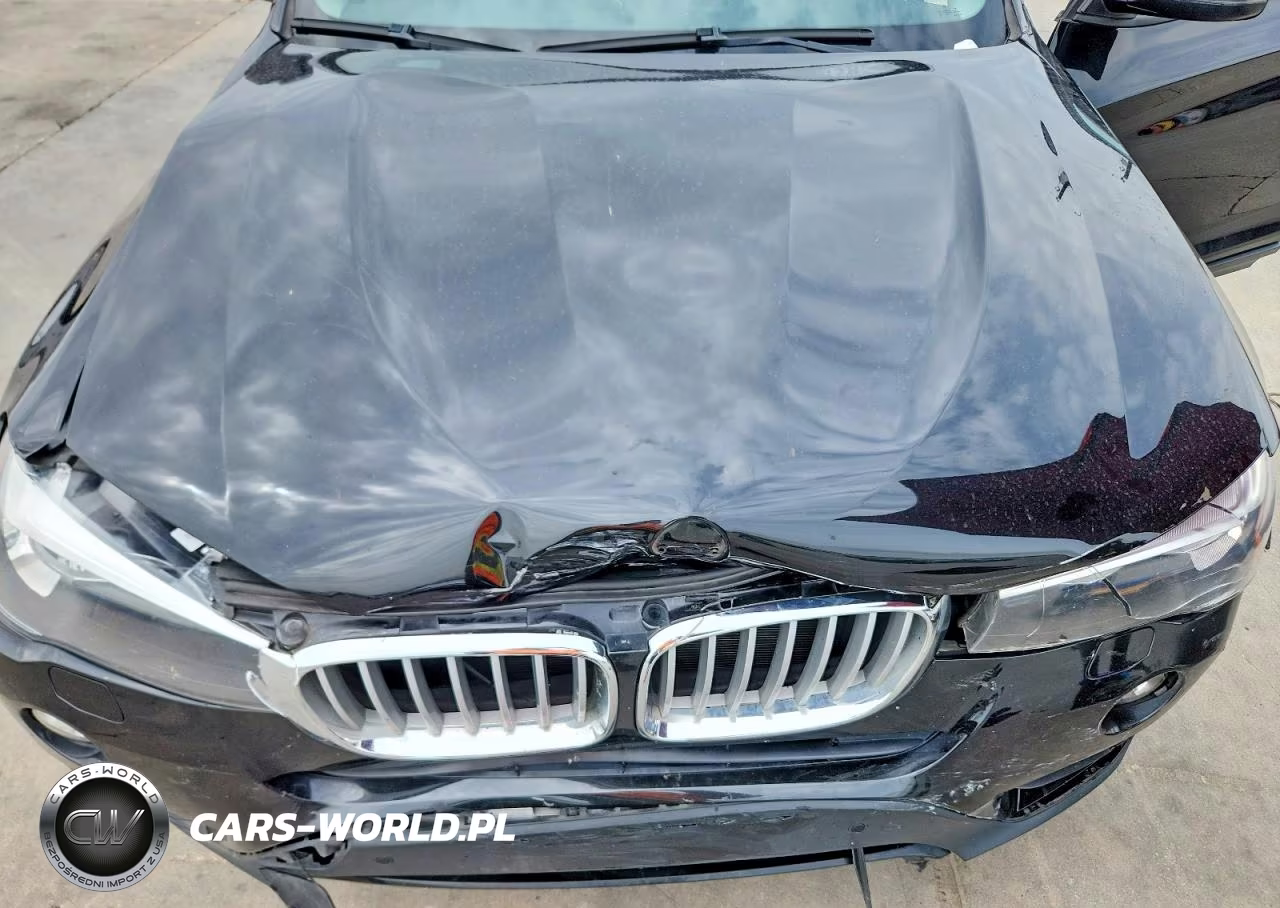 2017 BMW X3 Sdrive28I VIN:5UXWZ7C30H0X41614 - 11