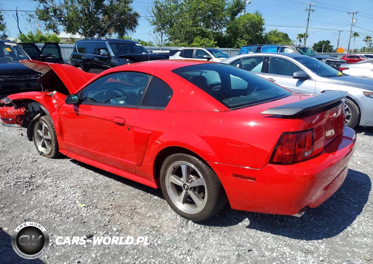 2003 Ford Mustang Mach I VIN:1FAFP42R73F425926 - 2