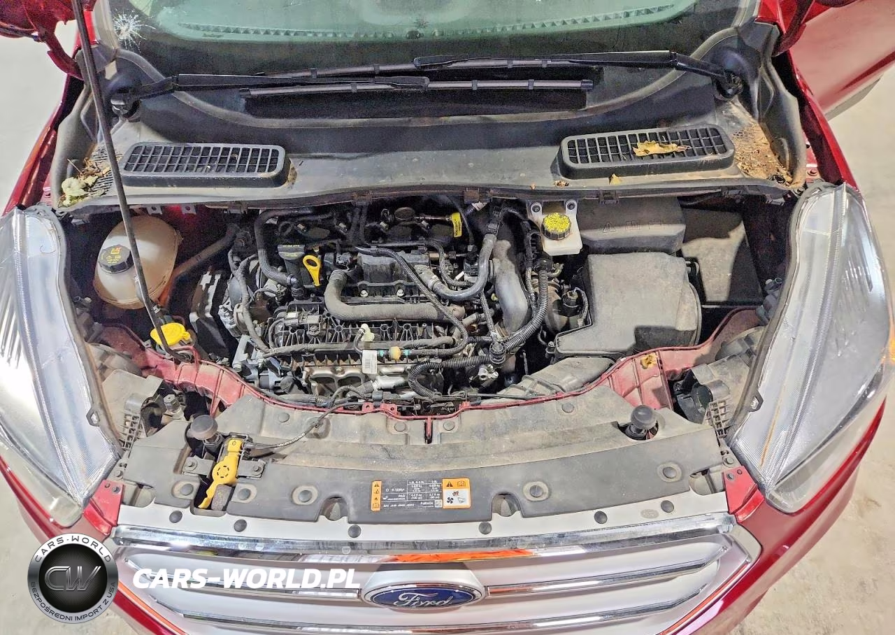 2019 Ford Escape Se VIN:1FMCU9GD0KUB27109 - 12