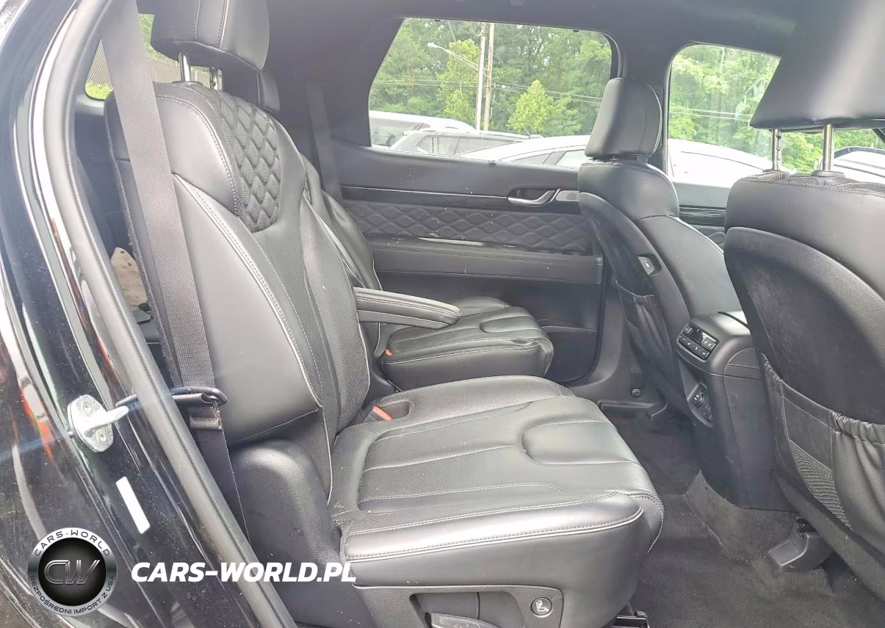 2022 Hyundai Palisade Calligraphy VIN:KM8R7DHE3NU377251 - 10