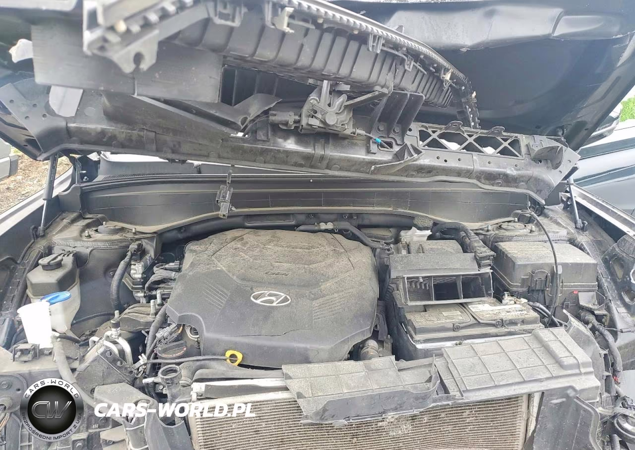 2022 Hyundai Palisade Calligraphy VIN:KM8R7DHE3NU377251 - 11