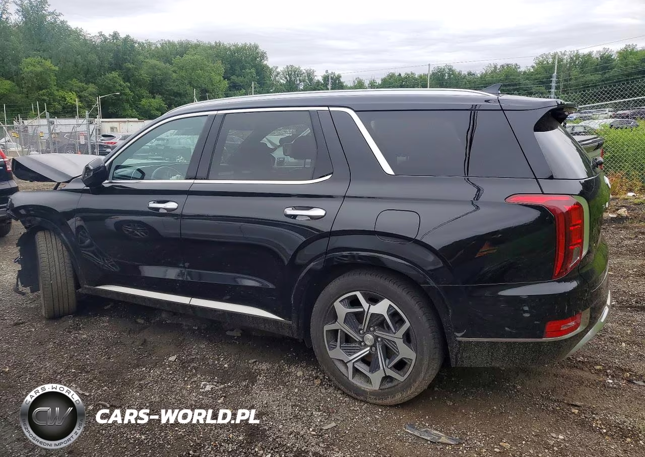 2022 Hyundai Palisade Calligraphy VIN:KM8R7DHE3NU377251 - 2