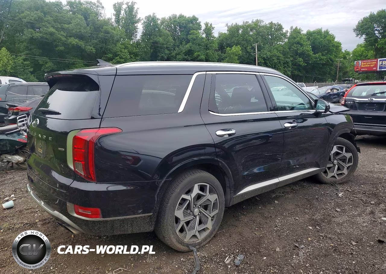 2022 Hyundai Palisade Calligraphy VIN:KM8R7DHE3NU377251 - 3