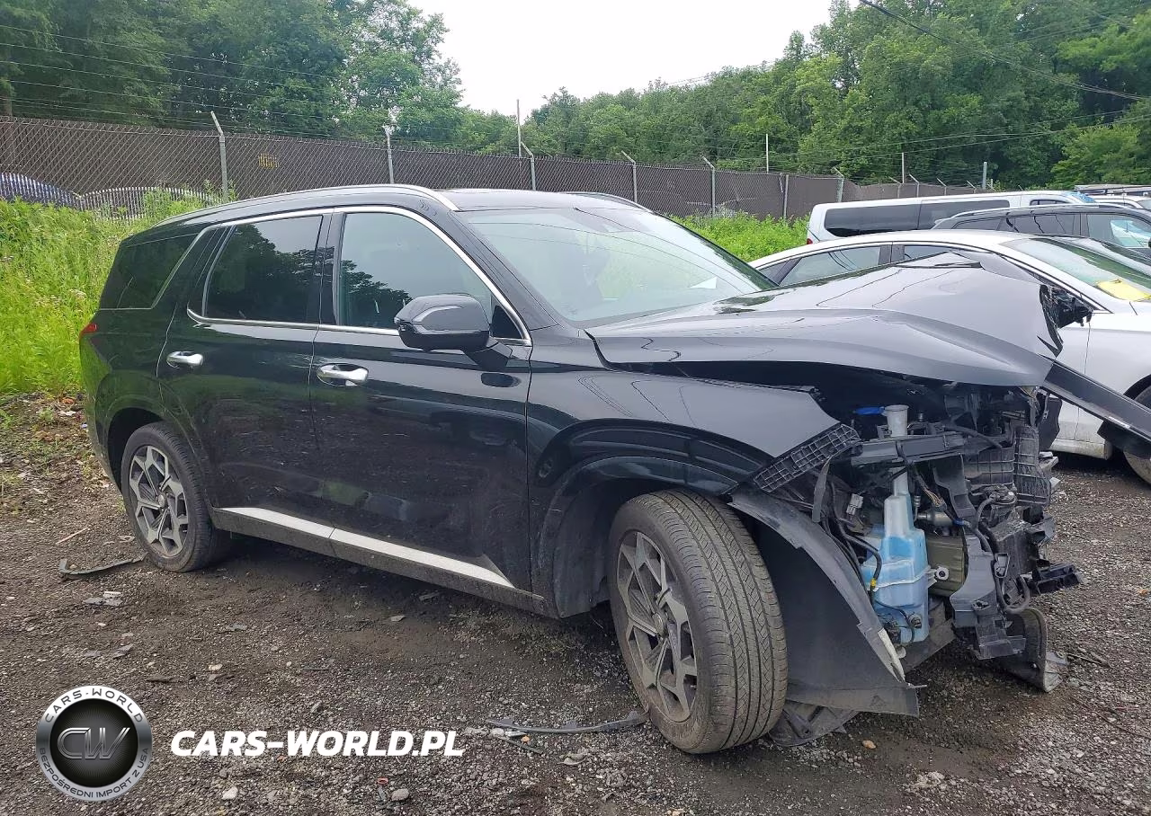 2022 Hyundai Palisade Calligraphy VIN:KM8R7DHE3NU377251 - 4