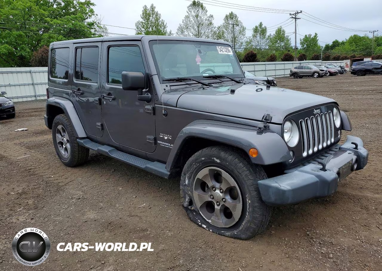2016 Jeep Wrangler Unlimited Sahara VIN:1C4HJWEG8GL199087 - 4