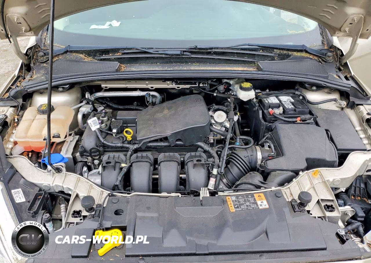 2017 Ford Focus Se VIN:1FADP3K23HL285239 - 11