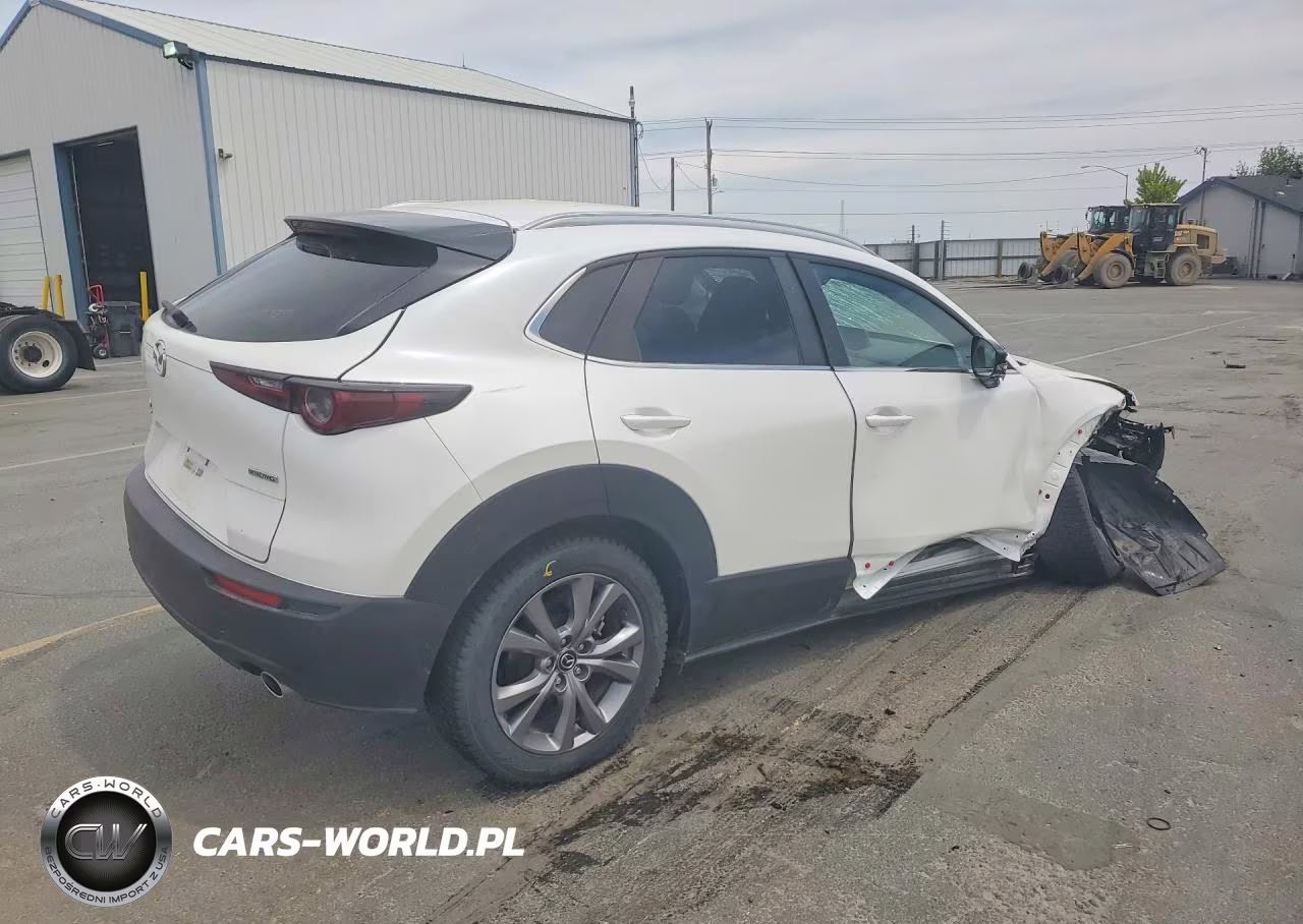 2023 Mazda Cx-30 Preferred VIN:3MVDMBCMXPM572442 - 3