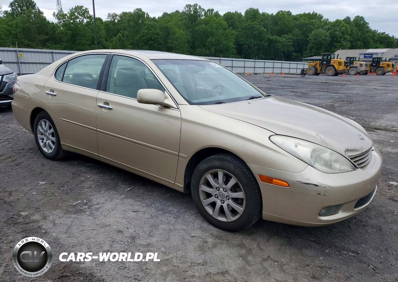 2002 Lexus Es 300 VIN:JTHBF30G520051081 - 4