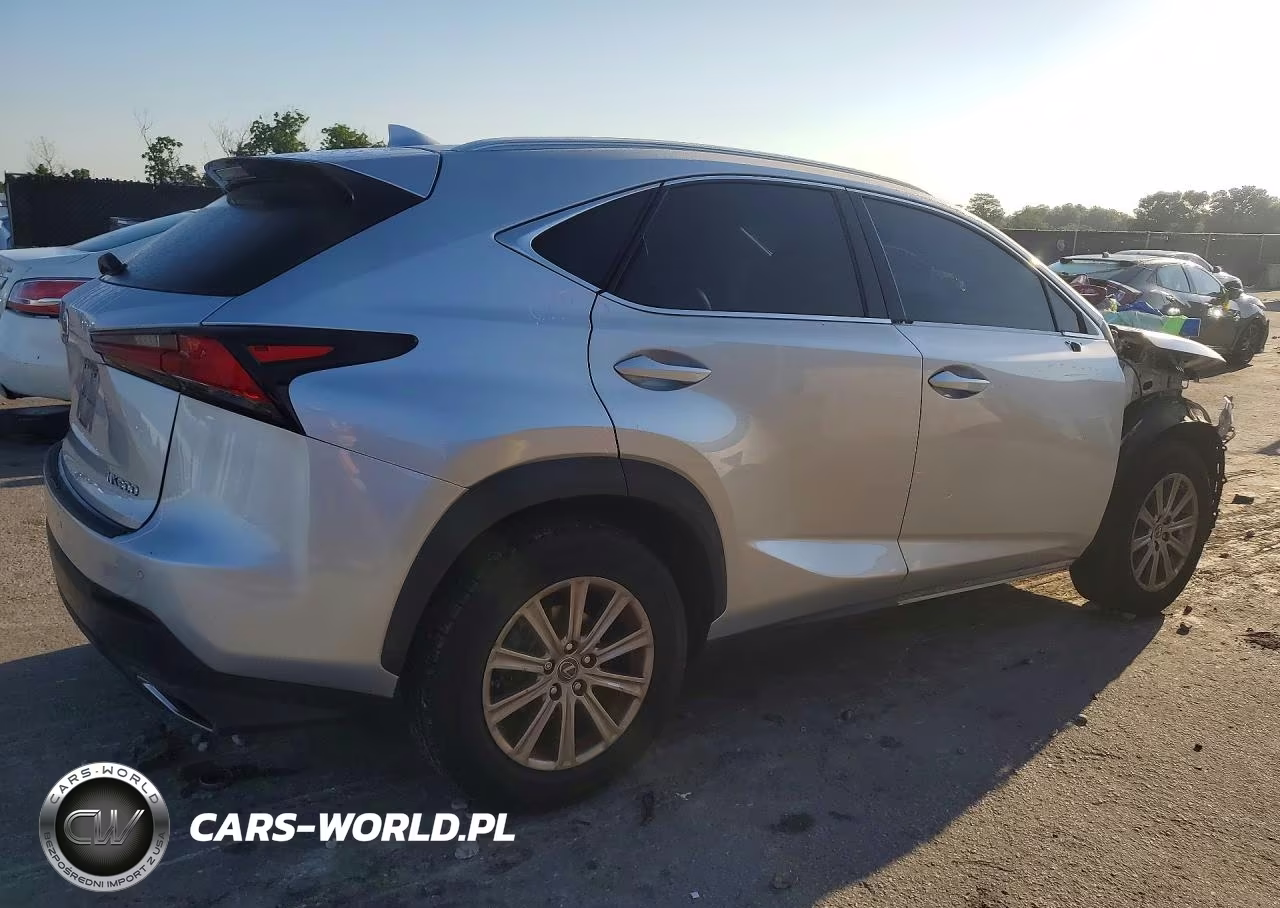 2018 Lexus Nx 300 Base VIN:JTJYARBZ9J2116106 - 3