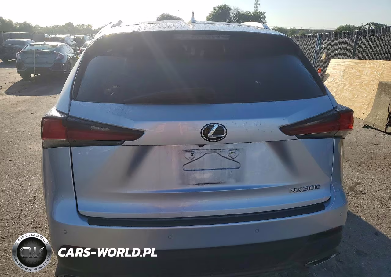 2018 Lexus Nx 300 Base VIN:JTJYARBZ9J2116106 - 6
